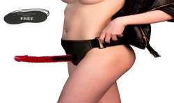 HARNESS ATTRACTION aRNES BRANT 19 X 4CM