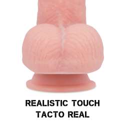 ROCKARMY ARNeS DUAL DENSITY SHERMAN DILDO REALISTA 24CM