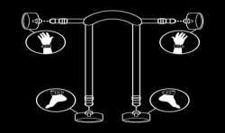 FETISH SUBMISSIVE POSICIoN MASTER CON 4 ESPOSAS CON FORRO DE NOPRENO