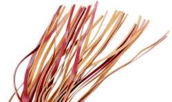 FETISH SUBMISSIVE DARK ROOM LaTIGO CUERO VEGANO