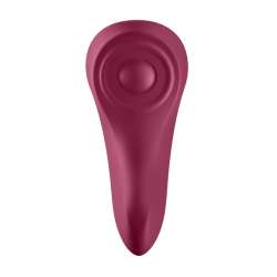 SATISFYER SEXY SECRET PANTY