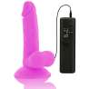 DIVERSIA DILDO FLEXIBLE CON VIBRACION 17 CM LILA
