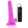 DIVERSIA DILDO FLEXIBLE CON VIBRACIoN 18 CM LILA