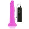 DIVERSIA DILDO FLEXIBLE CON VIBRACION 23 CM LILA