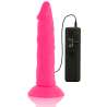 DIVERSIA DILDO FLEXIBLE CON VIBRACION 23 CM PINK