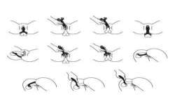 SATISFYER ENDLESS FUN MULTI VIBRADOR 3 AZUL