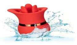 CALIFORNIA EXOTICS FRENCH KISS SUCK PLAY SET