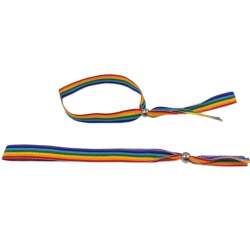 PRIDE PULSERA BOLITA PLATEADA BANDERA LGBT