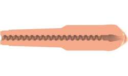 PRIVATE MASTURBADOR ORIGINAL TUBE NATURAL