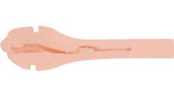 PRIVATE MASTURBADOR NAUGHTY LOLITA TO GO