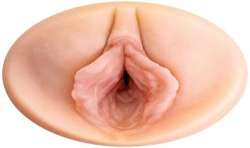 PDX PLUS MASTURBADOR STROKER DISENO DISCRETO DE BOTE CHAMPU MILK ME HONEY