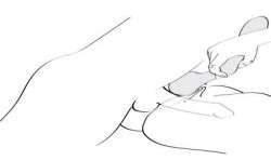 SHUNGA ZOA MASAJEADOR INTIMO ROSA