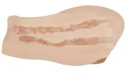 CRAZY BULL VAGINA Y ANO REALISTICOS VIBRADOR MILA