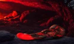 EPIC ARES DILDO PASIoN COMBATIVA