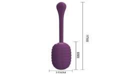 PRETTY LOVE CASPER HUEVO VIBRADOR RECARGABLE MORADO