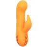 CALEXOTICS MONTECITO MUSE VIBRADOR RABBIT NARANJA BY CALIFORNIA DREAMING