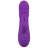 CALEXOTICS MANHATTAN BEACH MARVEL VIBRADOR RABBIT MORADO BY CALIFORNIA DREAMING