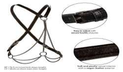 CALEXOTICS EUPHORIA ARNaS DE MaLTIPLES CADENAS PREMIUM TALLA PLUS