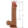BAILE BERGRISI DILDO REALaSTICO 26 CM NATURAL