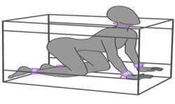 SECRET DOME KINK CLUB LA NICHE CABINA MORADO