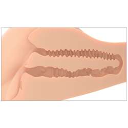 PDX PLUS 360 BANGER MASTURBADOR ANO Y VAGINA REALaSTICOS