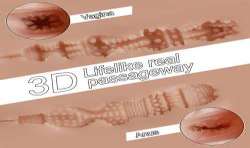 XISE TRACY VIBRATING MASTURBADOR VAGINA Y ANO REALaSTICO MULTIPOSICIaN CON VIBRACIaN