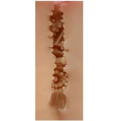 SHEQU MAUREEN MASTURBADOR VAGINA