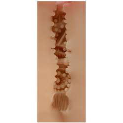 SHEQU MAUD MASTURBADOR VAGINA