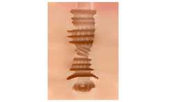 SHEQU EDITH MASTURBADOR VAGINA