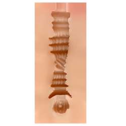 SHEQU EDITH MASTURBADOR VAGINA