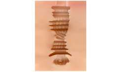 SHEQU MIRIAM MASTURBADOR VAGINA