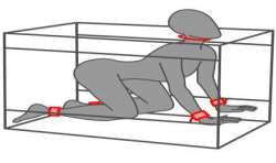 SECRET DOME KINK CLUB LA NICHE CABINA NEGRO ROJO