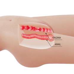 CRAZY BULL MIA TORSO FEMENINO REALISTA VAGINA Y ANAL 85 KG