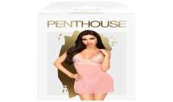 PENTHOUSE CHEMISE BEDTIME STORY ROSA L XL