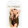 PENTHOUSE TOXIC POWDER NEGRO S M
